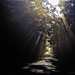 Thomas Michels Photo 34