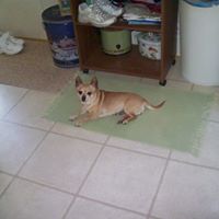 Debbie Wyrick Photo 5