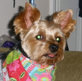 Frances Phillips Photo 32