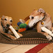 Carroll Timms Photo 3
