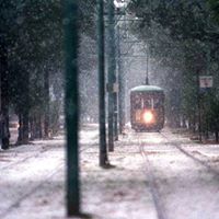 Peter Pappas Photo 23