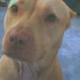 Amanda Overby Photo 18