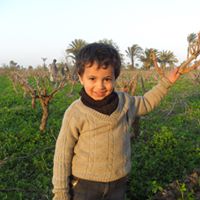 Mohamed Moustafa Photo 32