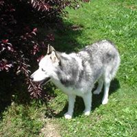 Kimberly Reece Photo 16