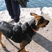 Angie Hamilton Photo 9