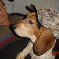 Larry Guthrie Photo 39