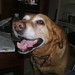 Molly Wise Photo 15