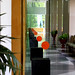 Chi Ngo Photo 20