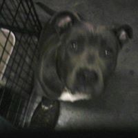 Mark Cornell Photo 13