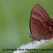 Judy Silva Photo 26