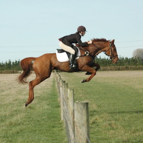 Caroline Thompson Photo 21