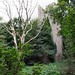 David Welles Photo 14