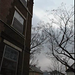Regina Williamson Photo 27