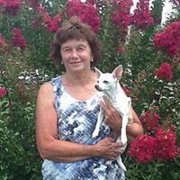 Shirley Ballard Photo 22