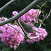 Debra Cardinal Photo 15
