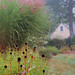 Susan Borders Photo 11