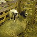 Bryan Lamb Photo 18