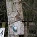 Dean Clements Photo 9