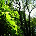 David Denes Photo 7