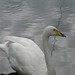 Gail Taylor Photo 13