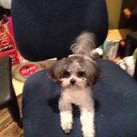 Brenda Mcmillen Photo 16