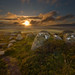 Carl Summers Photo 15