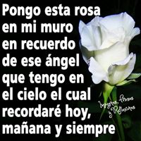 Julia Bonilla Photo 21