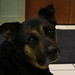 Steven Swan Photo 14