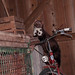 Marten Stone Photo 8