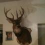 Randall Lamb Photo 14
