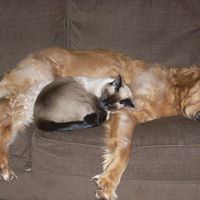 Tara Caudill Photo 8
