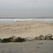 Tracy Landis Photo 19