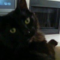Beth Feagin Photo 3