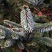 Sandy Matlock Photo 15
