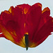 Ann Parker Photo 20