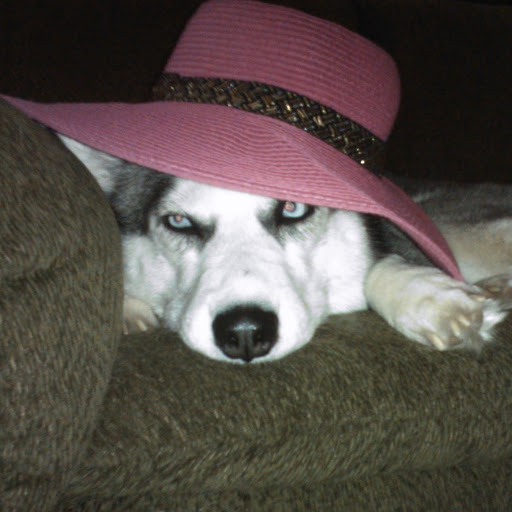 Debra Flores Photo 8