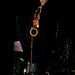 Alexander Link Photo 5