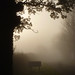 Ray Wheatley Photo 18