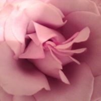Diane Leclercq Photo 4