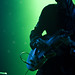Bradford Webster Photo 6