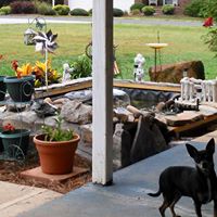 Cindy Rhoads Photo 24