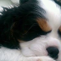 Kathleen Nagy Photo 4