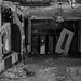 Jeffery Lowe Photo 27