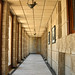 Frank Snider Photo 17