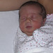 Joanna Mitchell Photo 26
