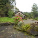 Susan Ireland Photo 24