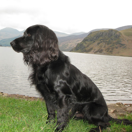 Harry Marshall Photo 15