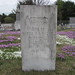 John Merrill Photo 31