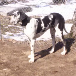 Kevin Alter Photo 14