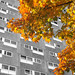 Shirley Tower Photo 5
